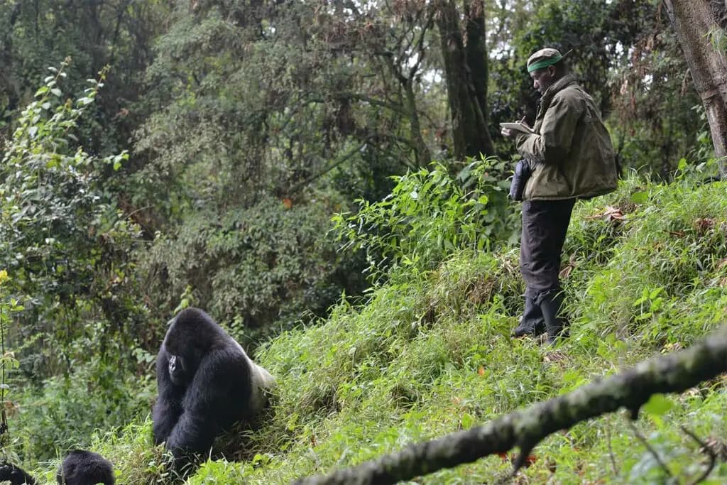 10 Days Mid-Range Rwanda Adventures